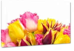 bukiet tulipanw, wiosennie, ogrd, styl, gsto, do salonu