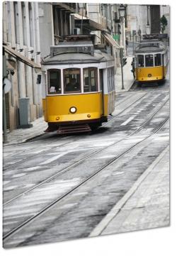 tramwaj, lty, lizbona, portugalia, vintage, podr, transport, podr, szare to, kamienice, b&w