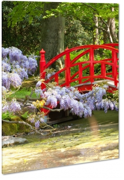 czerwony most, japonia, ogrd, zen, spokj, pejza, lato, jesie, biae kwiaty