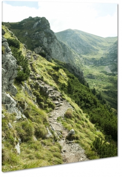 tatry, bieszczady, gry, pagrki, krajobraz, szlak, wspinaczka, szczyt, widok, pejza, natura, zielony