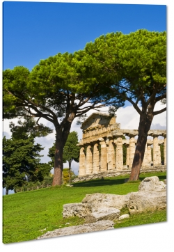 paestum, capaccio, park archeologiczny, greckie budowle, staroytno, ruiny, drzewa, ziele