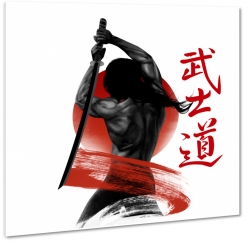 samuraj, japonia, sztuki walki, miecz, katana, japoski styl, anime, sia, minie, umys, mdro