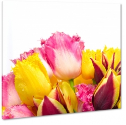 bukiet tulipanw, wiosennie, ogrd, styl, gsto, do salonu