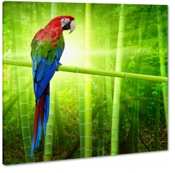 papuga, ara, kolorowa, dzib, na gazi, bambus, dungla, zielony, blask soca