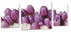 tulipany, holandia, zapach, fioletowe, bukiet, wiosenny, do salonu, biae to