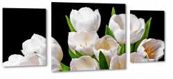 tulipany, biae, kwiaty, licie, pikno, natura, uroda, styl, czarne to