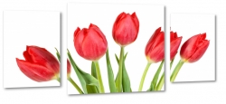 tulipany, holandia, zapach, czerwone, bukiet, wiosenny, do salonu, ogrd