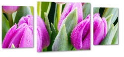 fioletowe tulipany, bukiet, gsto, kompozycja, patki, licie, fiolet, ogrd, wiosna, lato, natura
