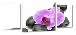 orchidea, kamienie, wellness, fioletowy, czarny, rwnowaga, relaks, spokj, natura