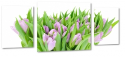 bukiet tulipanw, fioletowe, licie, ogrd, styl, gsto, do salonu