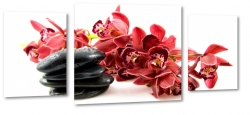 orchidea, kamienie, czerwony, rwnowaga, wellness, do salonu, dla kobiety