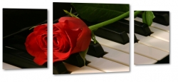 ra, czerwona, pianino, fortepian, pikno, styl, muzyka, czarny, romantyczna