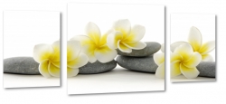 plumeria, lei, kamienie, wellness, relaks, ukad, biel