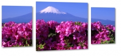 fuji, japonia, gra, kwiat wini, drzewa, fiolet, nieg, szczyt, krajobraz, widok, pejza