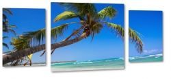 palma, tropiki, kokosy, wakacje, morze, plaa, piasek, wakacje, podr, krajobraz, widok, tropiki, tropikalny, soce, turkus, bkit