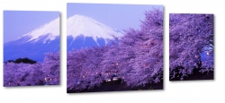 fuji, japonia, wulkan, gra, fiolet, kwiaty wini, nieg, zima, krajobraz, pejza, widok