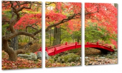 czerwony most, mostek, kadka, drzewo, czerwone, jesie, lato, las, park, natura, krajobraz, widok, pejza