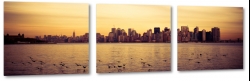 skyline, nowy jork, new york, brooklyn, east river, rzeka, miasto, city, metropolia, ptaki
