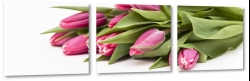 tulipany, rowe, bukiet, wiosenne, ogrd, prezent, do salonu