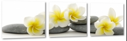 plumeria, lei, kamienie, wellness, relaks, ukad, biel