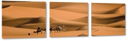 wielbdy, garb, egipt, afryka, pustynia, beduini, lato, upa, piasek, piach, soce, skwar, wydmy 
