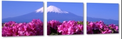 fuji, japonia, gra, kwiat wini, fiolet, nieg, szczyt, krajobraz, widok, pejza
