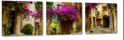 bugenwilla, kwiaty, bluszcz, fiolet, ziele, natura, klimat, prowansja, europa zachodnia