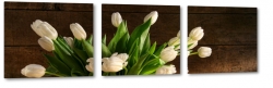 biae tulipany, holandia, zapach, bukiet, wiosenne, ogrd, do salonu, czarne to