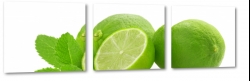 limonka, owoc, cytrusy, kwany, sok, zielony, skrka, pestki, zdrowie, makro, natura, mita