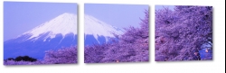 fuji, japonia, wulkan, gra, fiolet, kwiaty wini, nieg, zima, krajobraz, pejza, widok