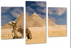 wielbd, garb, egipt, piramidy, afryka, pustynia, lato, upa, piasek, piach, soce, skwar, wydmy 