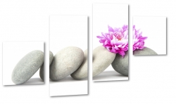 kamienie, kwiat, hawajski, fioletowy, ukad, kamienie, zen, relaks, spa, dla kobiety