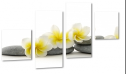 plumeria, kamienie, hawajski, kwiat zakochanych, wellness, spa