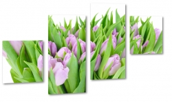 bukiet tulipanw, fioletowe, licie, ogrd, styl, gsto, do salonu, wiosennie