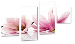 magnolia, kwiaty, natura, patki, pikno, biel, sezon wiosenny, dla kobiety