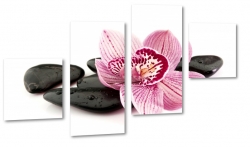 orchidea, kamienie, wellness, rowy, czarny, rwnowaga, relaks, spokj, natura, spa