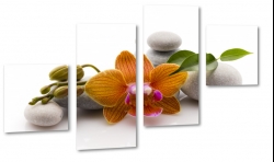 orchidea, kamienie, pomaraczowa, pki, spa, dla kobiety