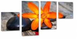 hawajski kwiat, pomaraczowy, kamienie, wellness, drewno, relaks, spa, dla kobiety