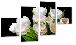 tulipany, holandia, zapach, biae, bukiet, wiosenny, do salonu, ogrd, czarne to