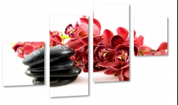 orchidea, czerwona, kamienie, rwnowaga, relaks, dla kobiety