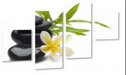 kamienie, plumeria, kwiat lei, hawajski, wellness, relaks, natura, kwiat zakochanych, spa