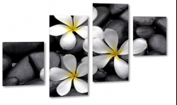 plumeria, kamienie, kwiat lei, otoczaki, wellness, hawajski, kwiat zakochanych, biay, ty, czarny, spokj, wyciszenie