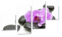 orchidea, fioletowa, biae to, do salonu, ukad, kompozycja, kamienie, spa, dla kobiety