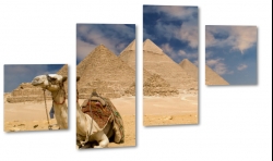 wielbd, garb, egipt, piramidy, afryka, pustynia, lato, upa, piasek, piach, soce, skwar, wydmy 