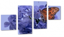 motyl, kwiaty, lawenda, z bliska, makro, czuki, mozaika, fioletowy, skrzyda, natura, pikno, wiosenny klimat