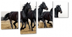konie, mustangi, dziko, natura, galop, bieg, dark, czarny, kopyta, wycig, piasek, na play