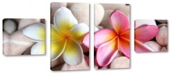 plumeria, para, kamienie, lei, hawajski, otoczaki, spa, romantyczny