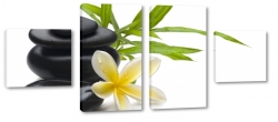 plumeria, kamienie, lei, rwnowaga, wellness, kwiat zakochanych, spa, biae to