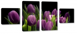 tulipany, fioletowe, bukiet, wiosenne, czarne to, do salonu
