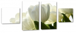 biae tulipany, kwiaty, bukiet, patki, licie, lato, natura, pikno, biae to